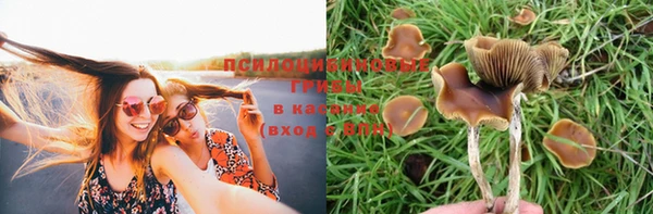 мдма Кукмор