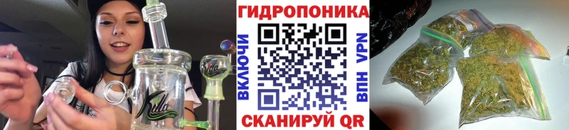 Купить где  Галич  МАРИХУАНА планчик 